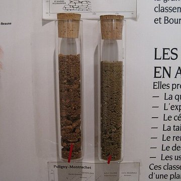 Musée du vin de Bourgogne à Beaune