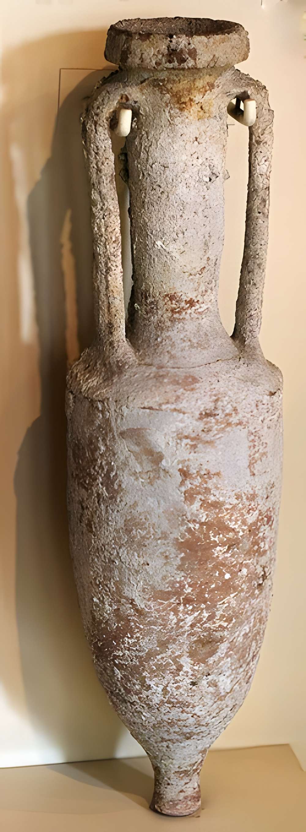 Musée du vin de Bourgogne à Beaune