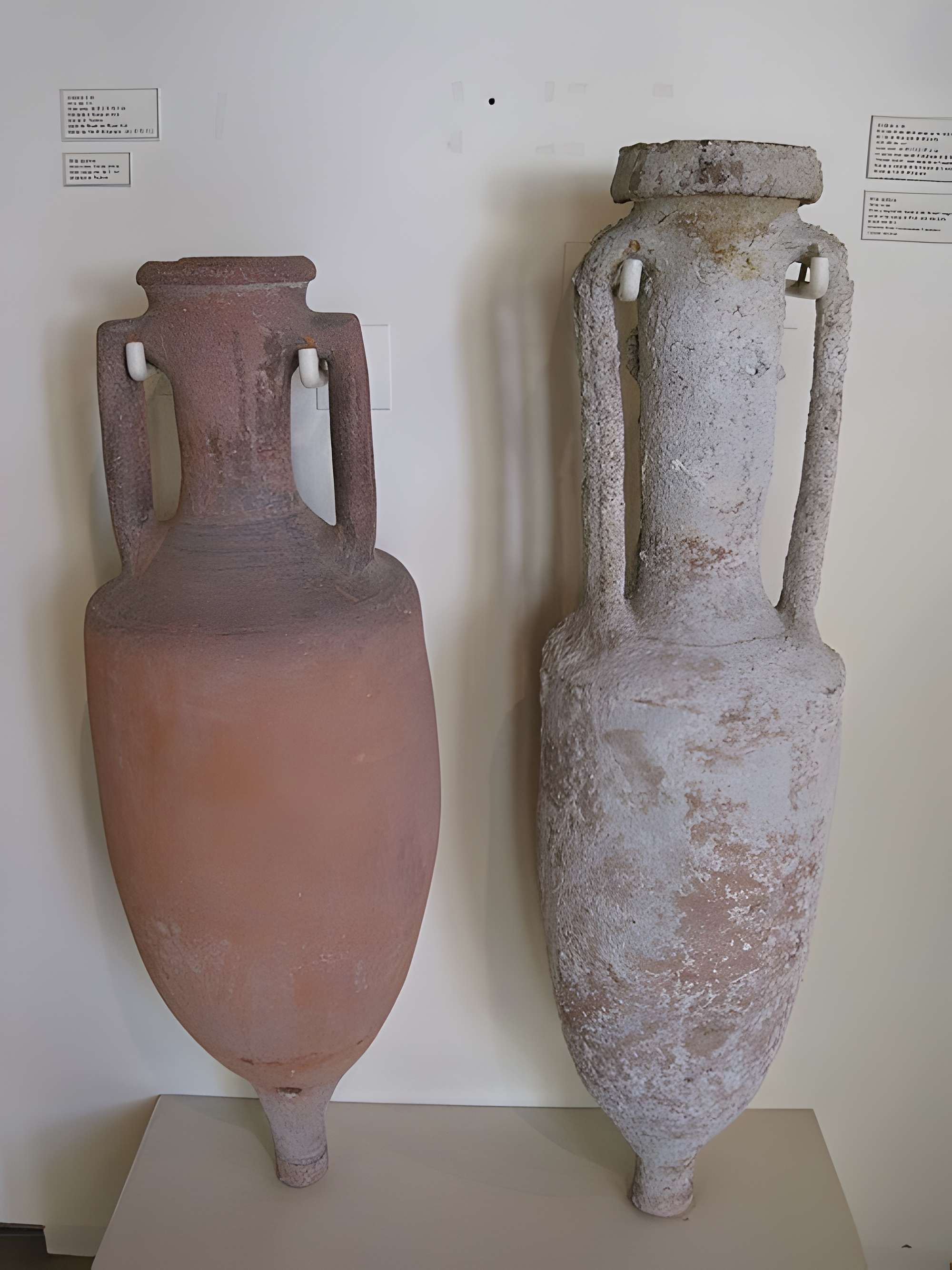 Musée du vin de Bourgogne à Beaune