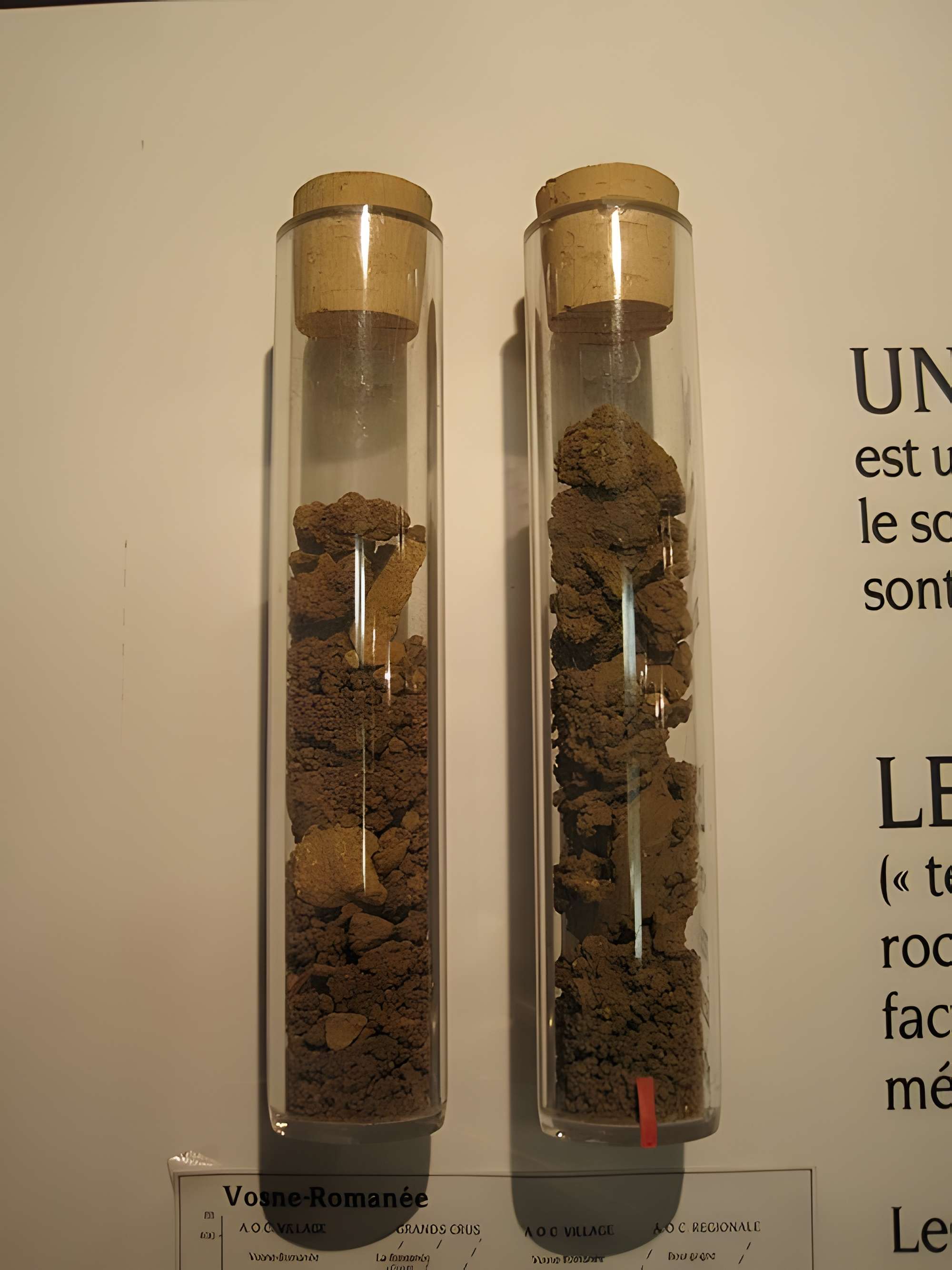 Musée du vin de Bourgogne à Beaune