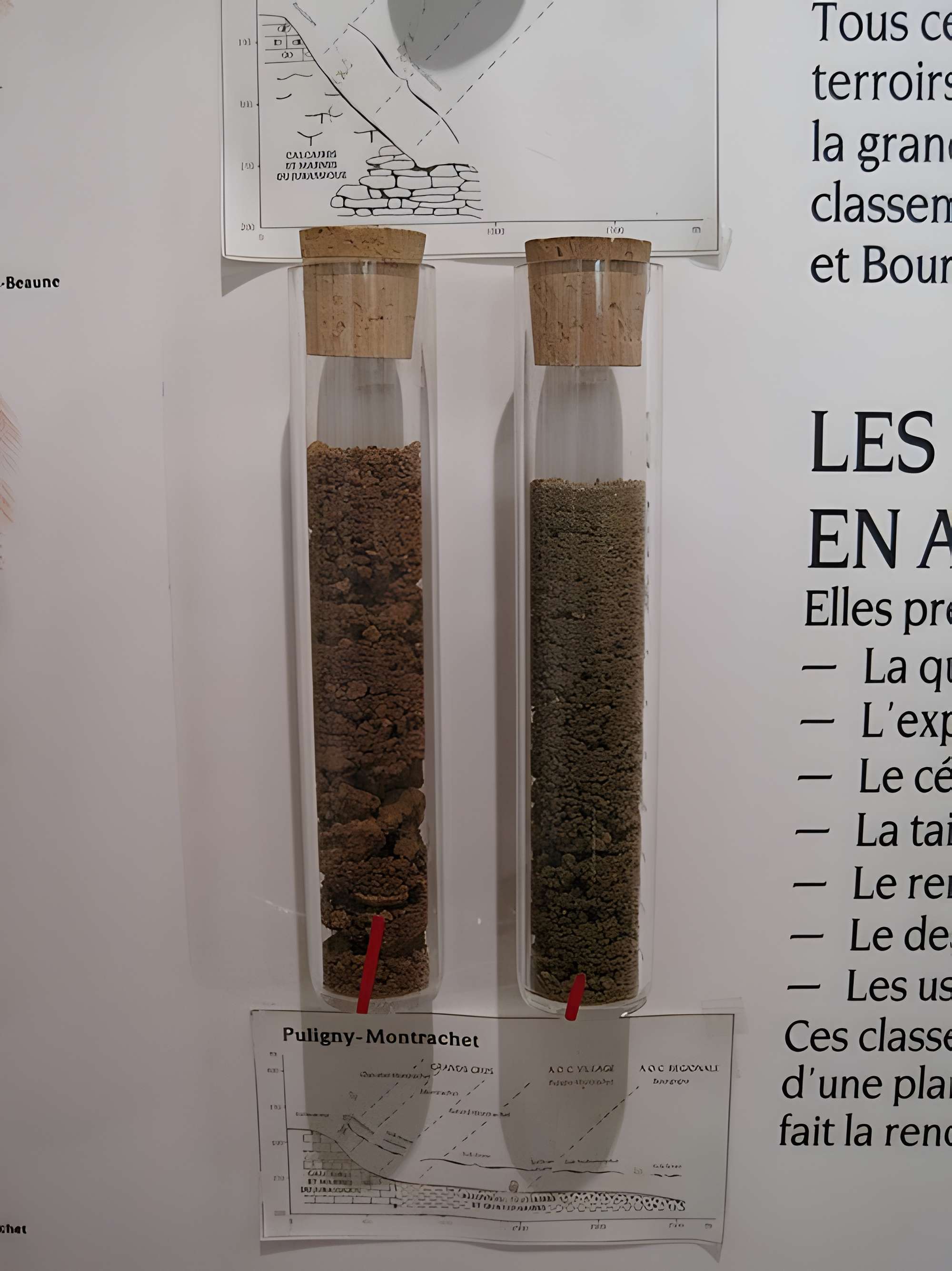 Musée du vin de Bourgogne à Beaune