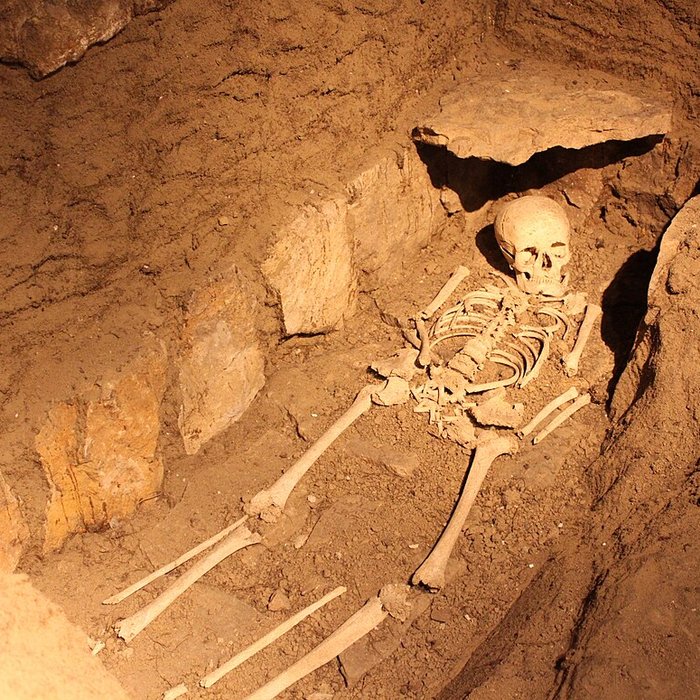 Photo de Musée de Nuits-Saint-Georges