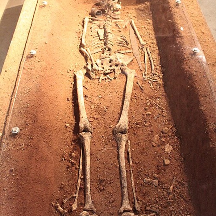 Photo de Musée de Nuits-Saint-Georges