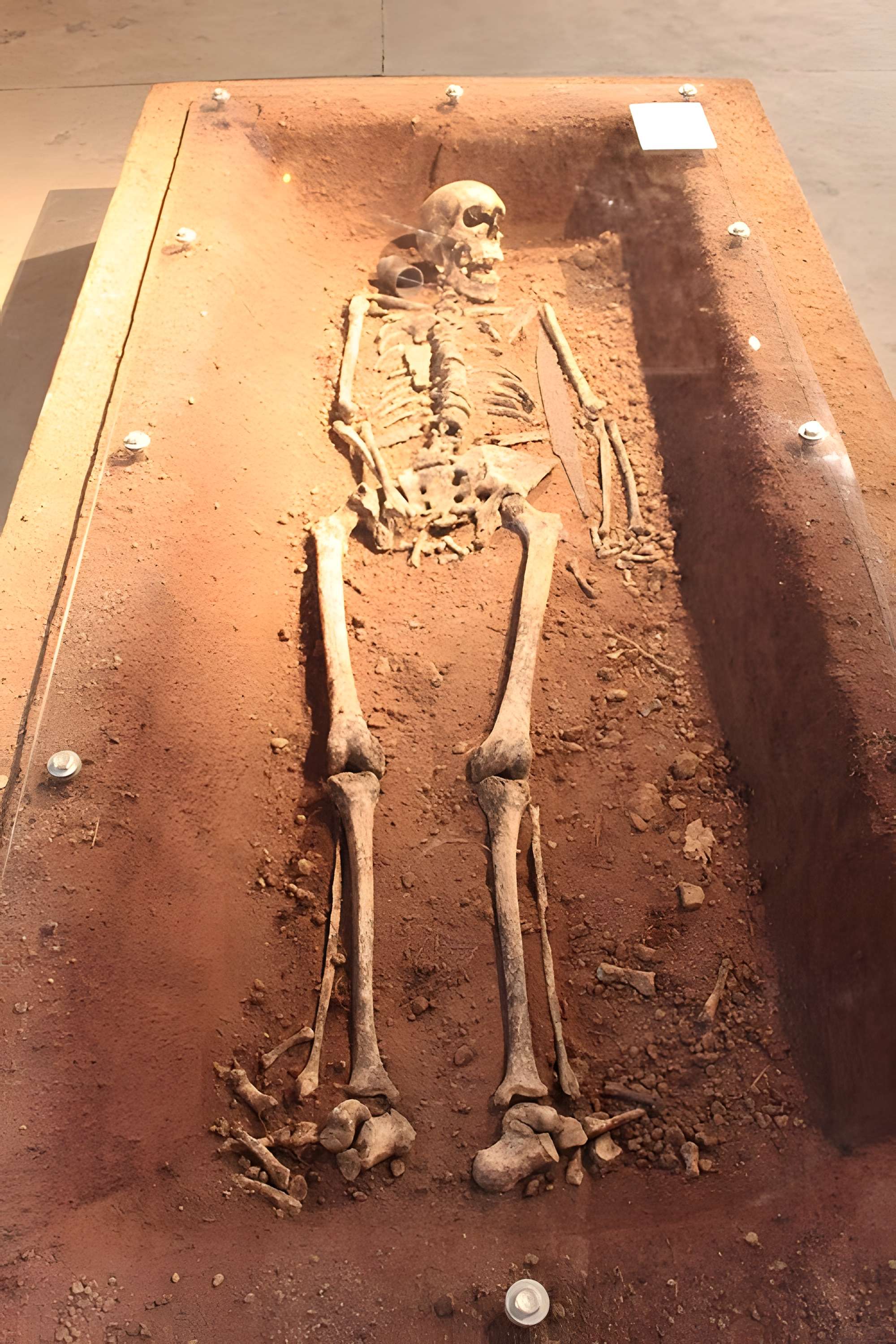 Musée de Nuits-Saint-Georges