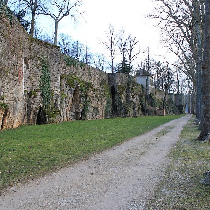 Photo de Musée des beaux-arts de Montbard Musée Buffon