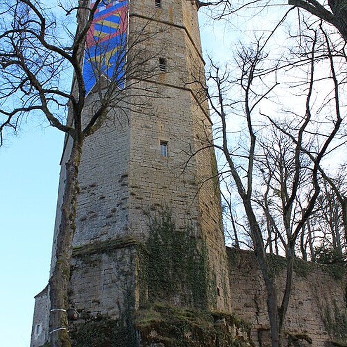 Photo de Musée des beaux-arts de Montbard Musée Buffon