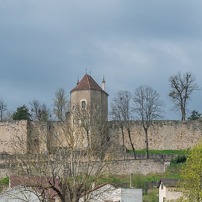 Photo de Musée des beaux-arts de Montbard Musée Buffon