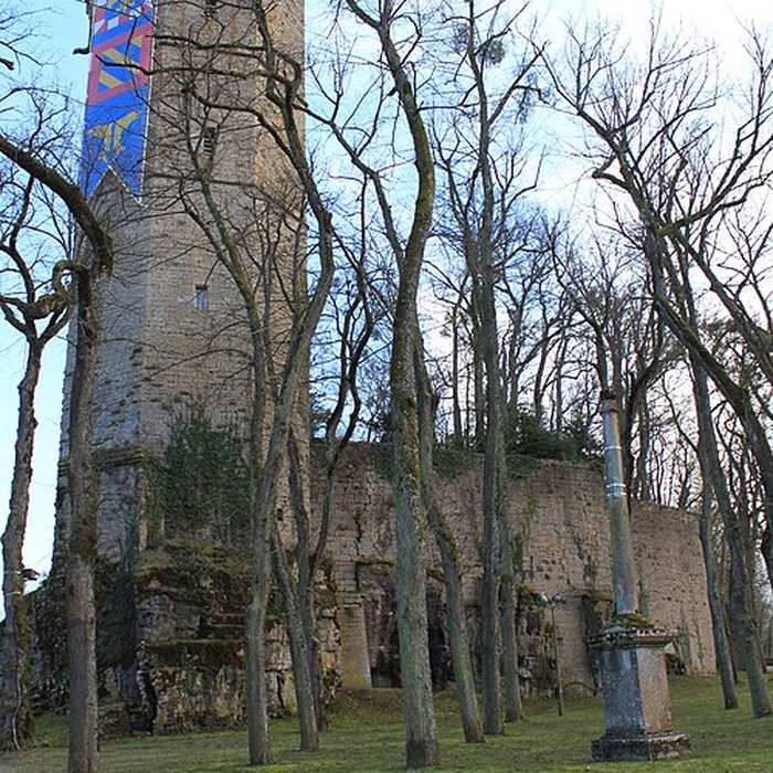 Photo de Musée des beaux-arts de Montbard Musée Buffon