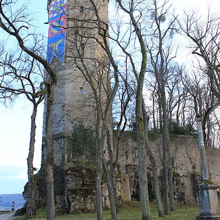 Photo de Musée des beaux-arts de Montbard Musée Buffon