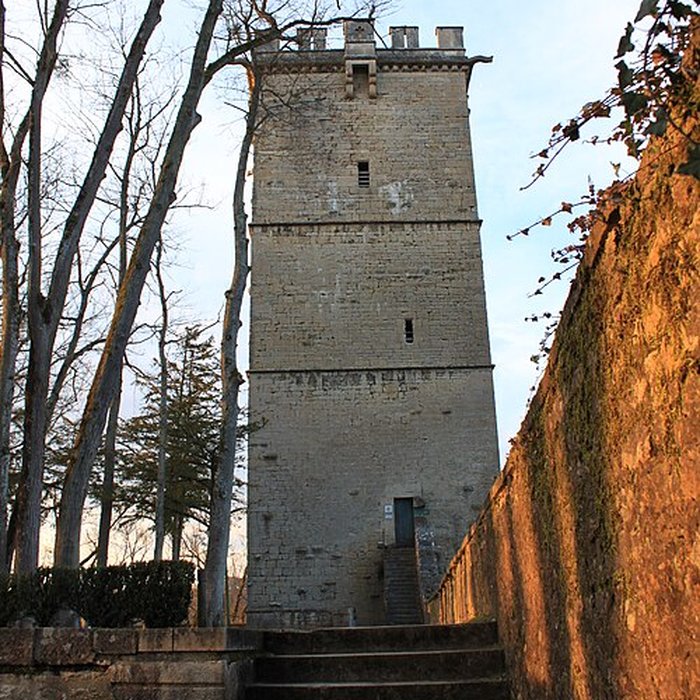 Photo de Musée des beaux-arts de Montbard Musée Buffon