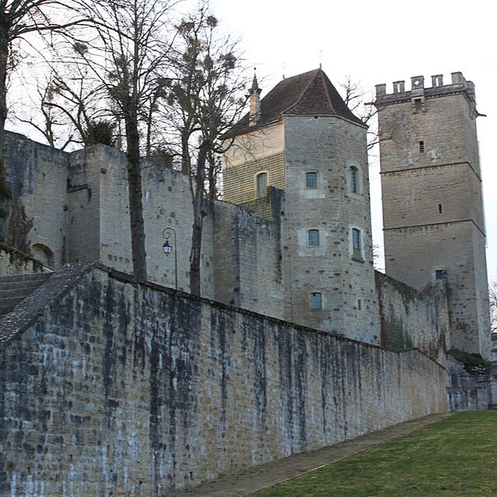 Photo de Musée des beaux-arts de Montbard Musée Buffon