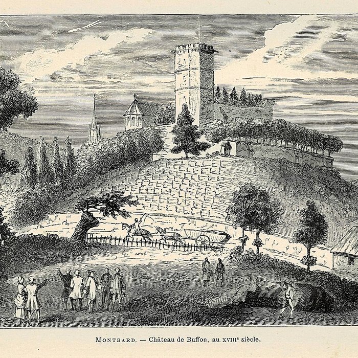 Photo de Musée des beaux-arts de Montbard Musée Buffon