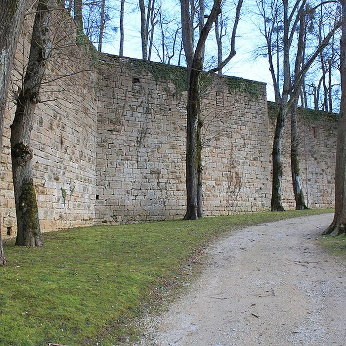 Photo de Musée des beaux-arts de Montbard Musée Buffon