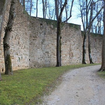Musée des beaux-arts de Montbard Musée Buffon