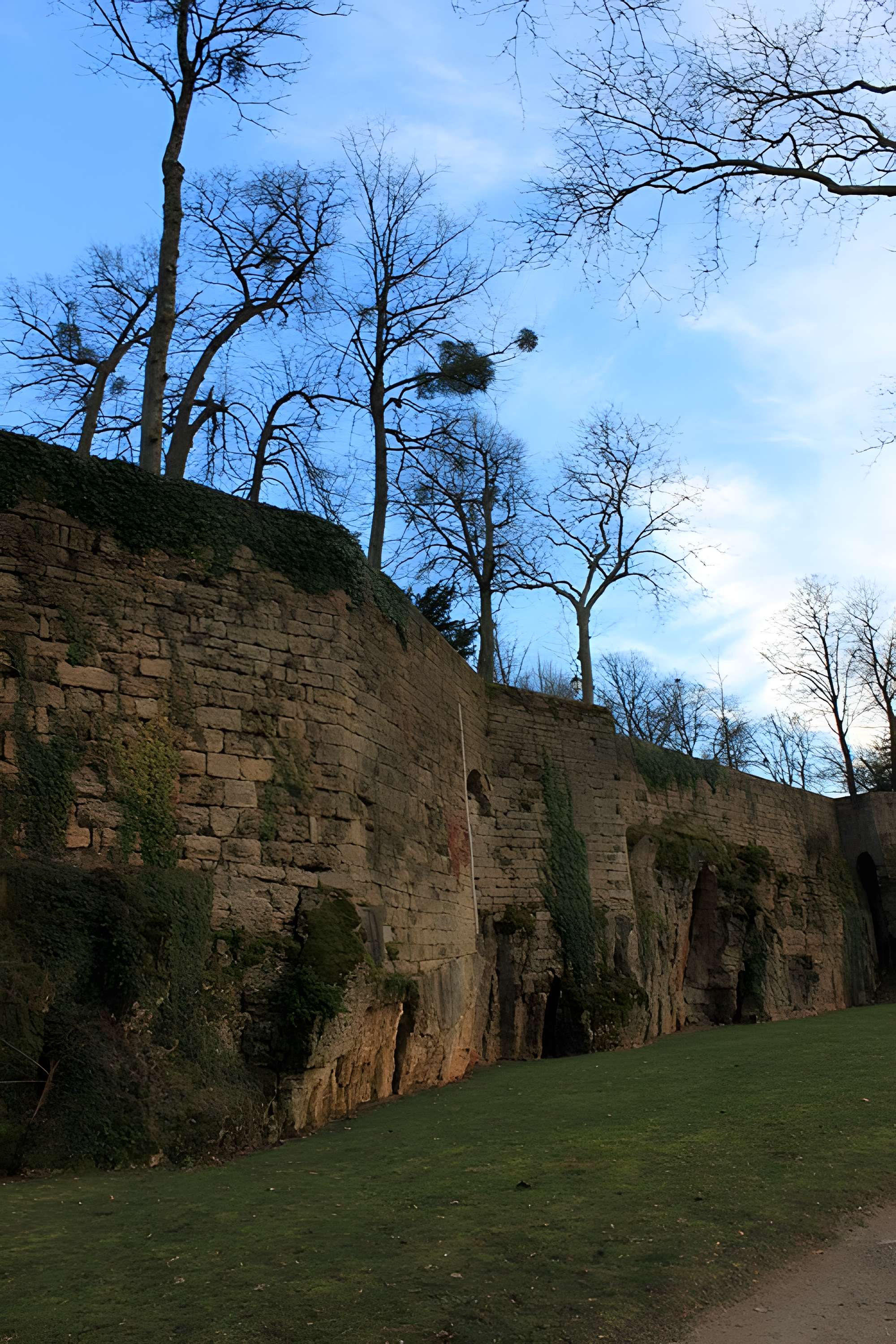 Musée des beaux-arts de Montbard (Musée Buffon)