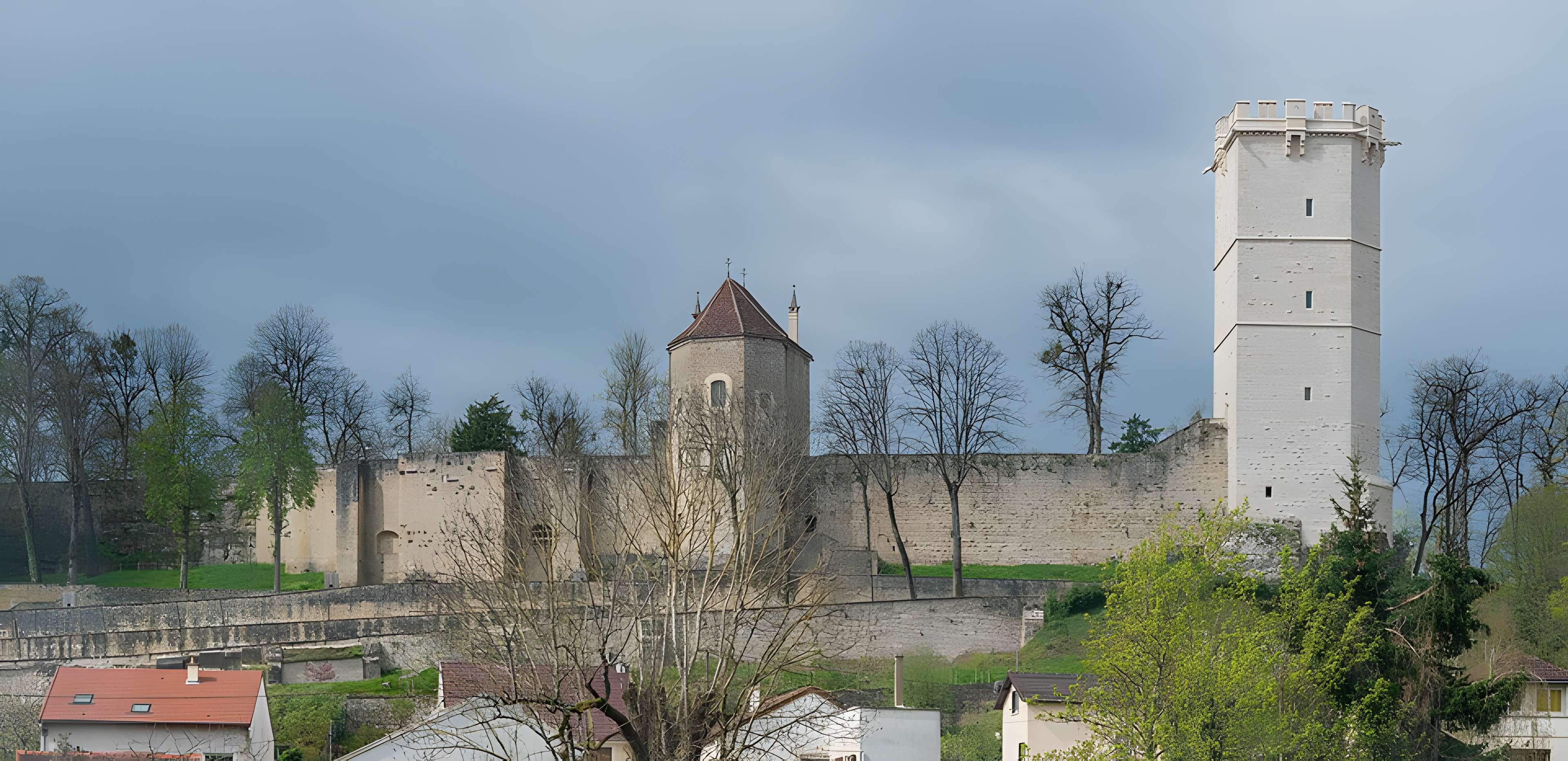 Musée des beaux-arts de Montbard (Musée Buffon)