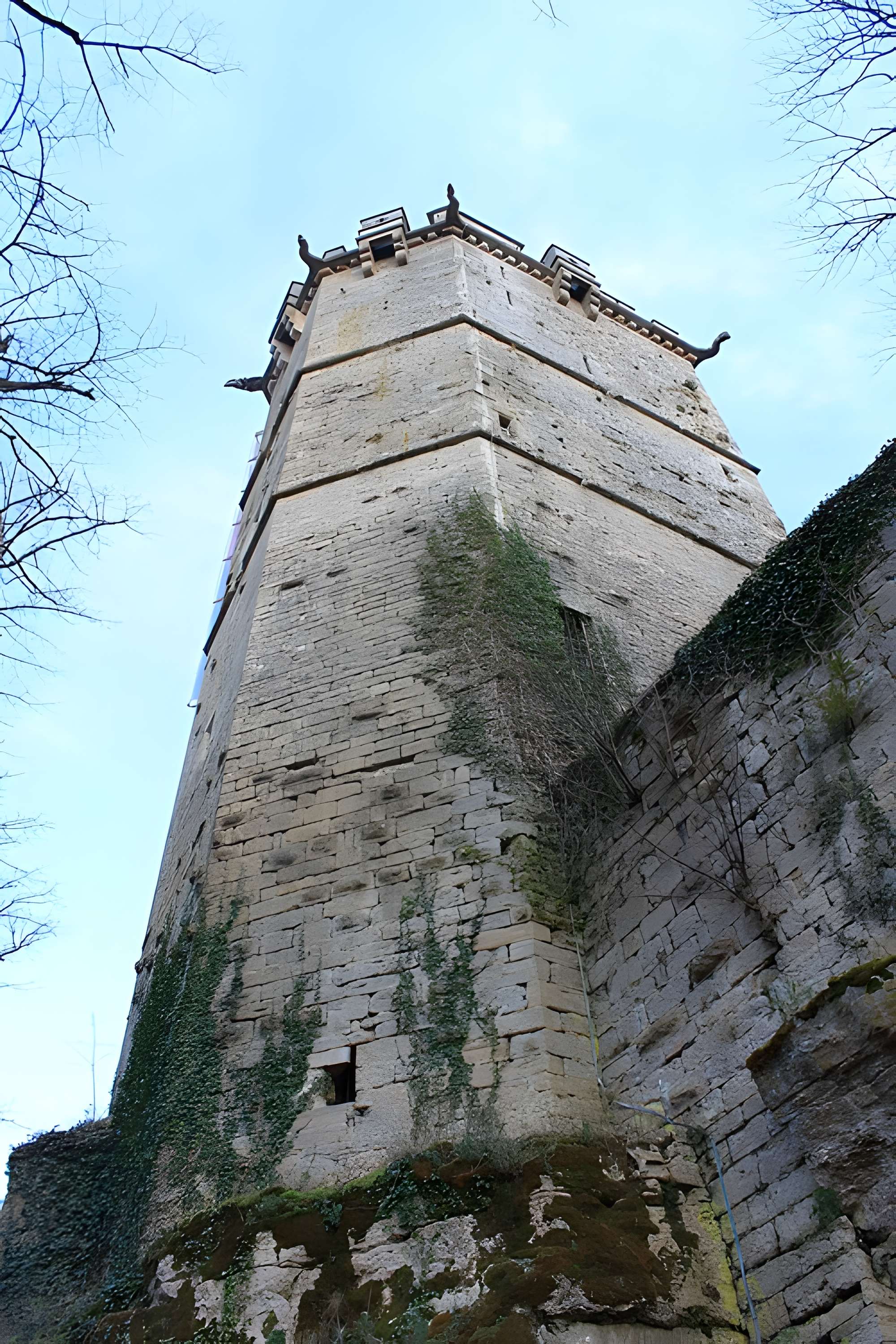 Musée des beaux-arts de Montbard (Musée Buffon)
