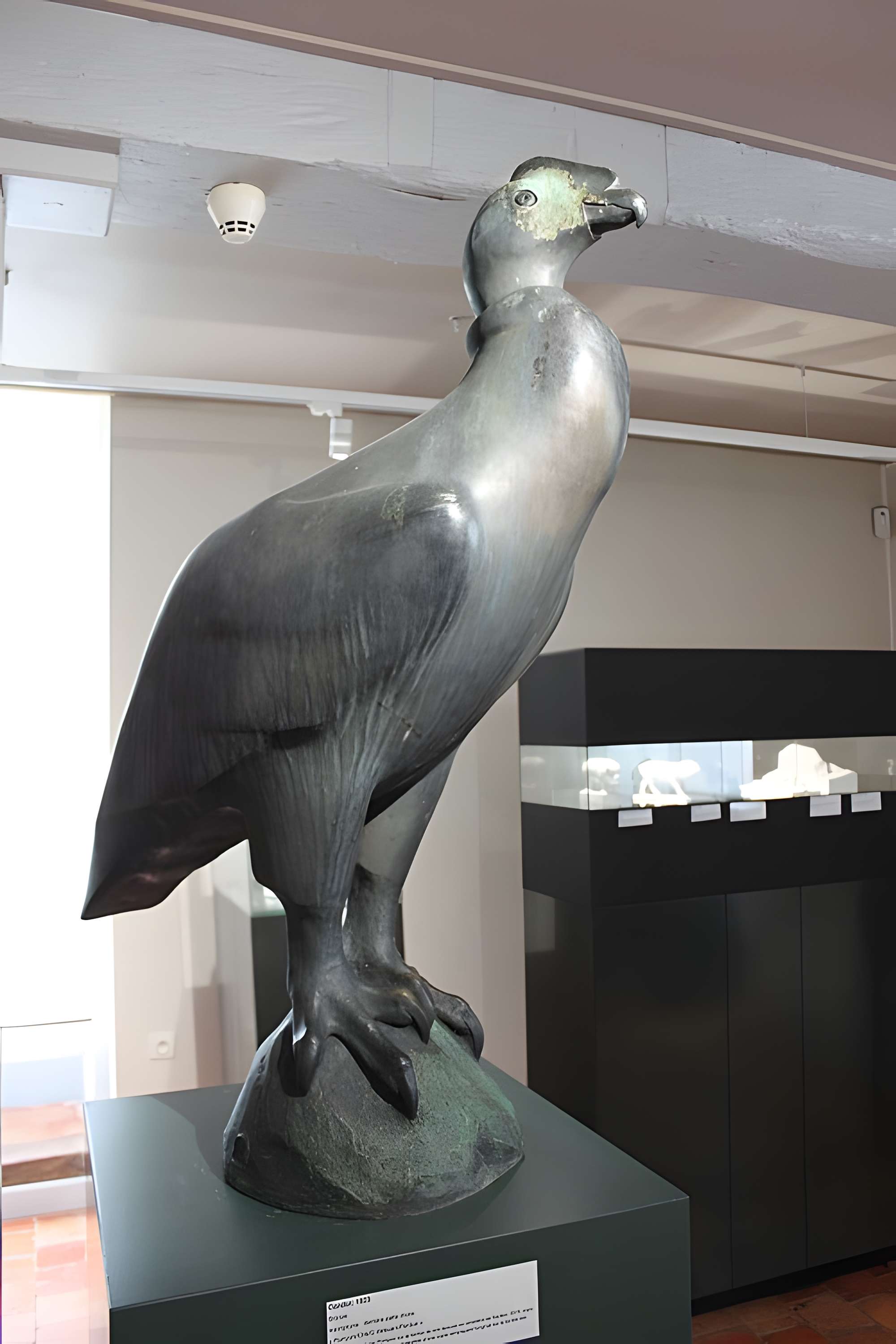 Musée François-Pompon à Saulieu