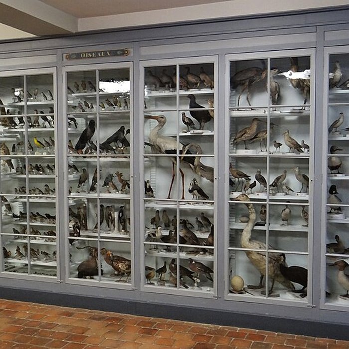 Photo de Musée municipal de Semur-en-Auxois 