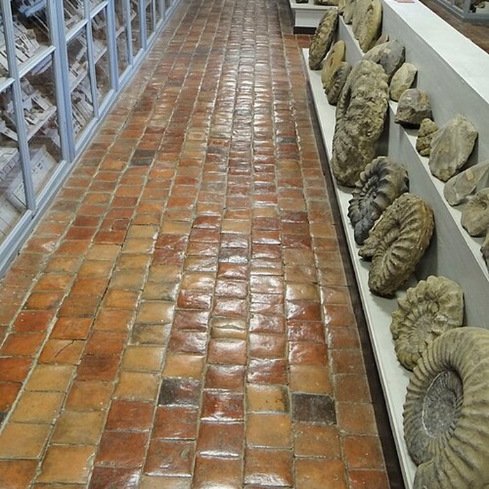 Photo de Musée municipal de Semur-en-Auxois 