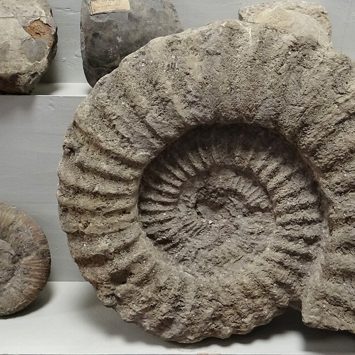 Photo de Musée municipal de Semur-en-Auxois 