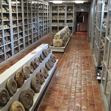 Musée municipal de Semur-en-Auxois 