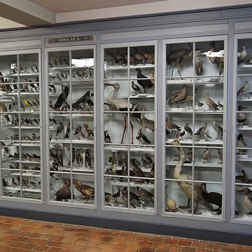 Musée municipal de Semur-en-Auxois 