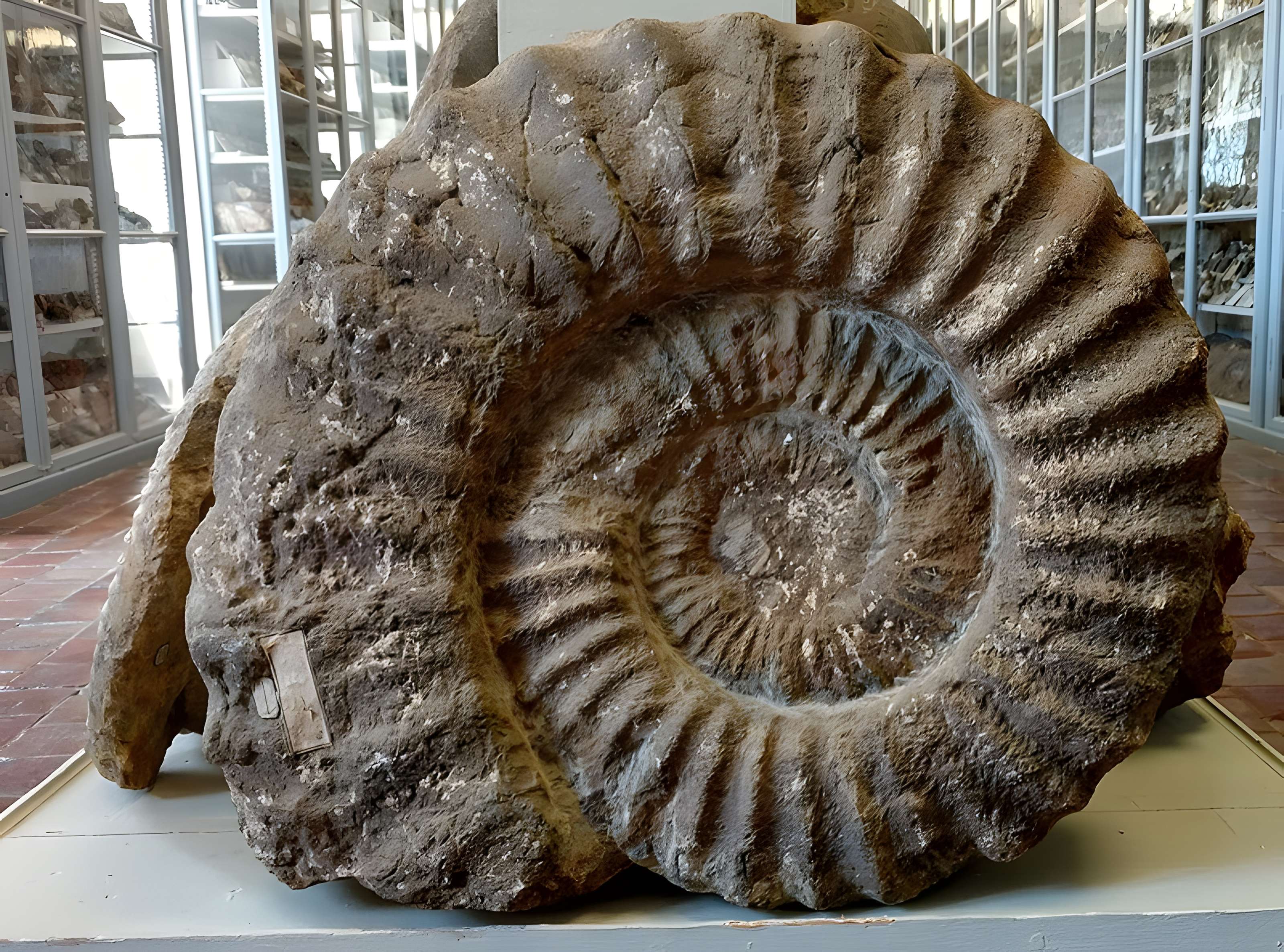 Musée municipal de Semur-en-Auxois 