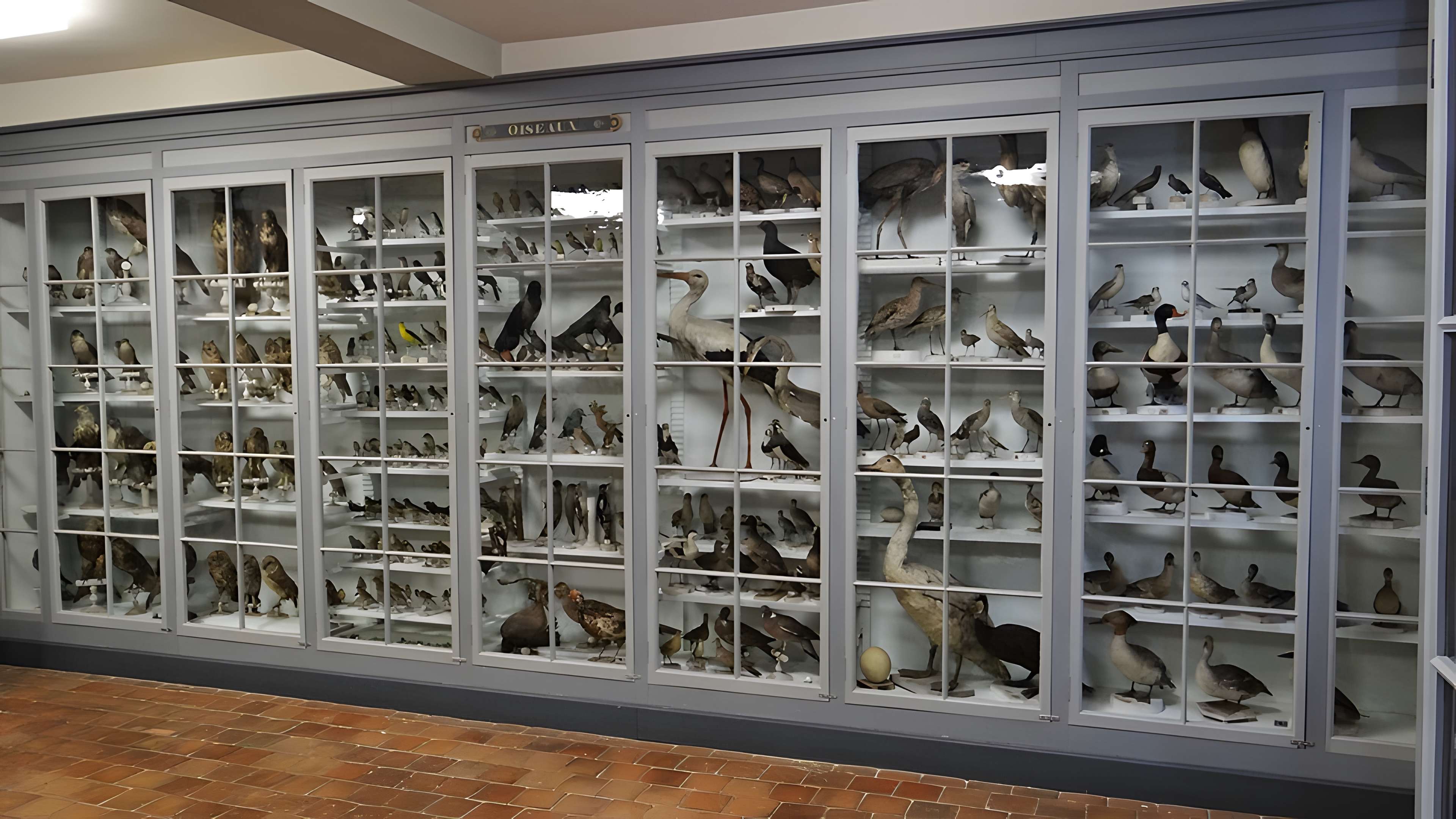 Musée municipal de Semur-en-Auxois 