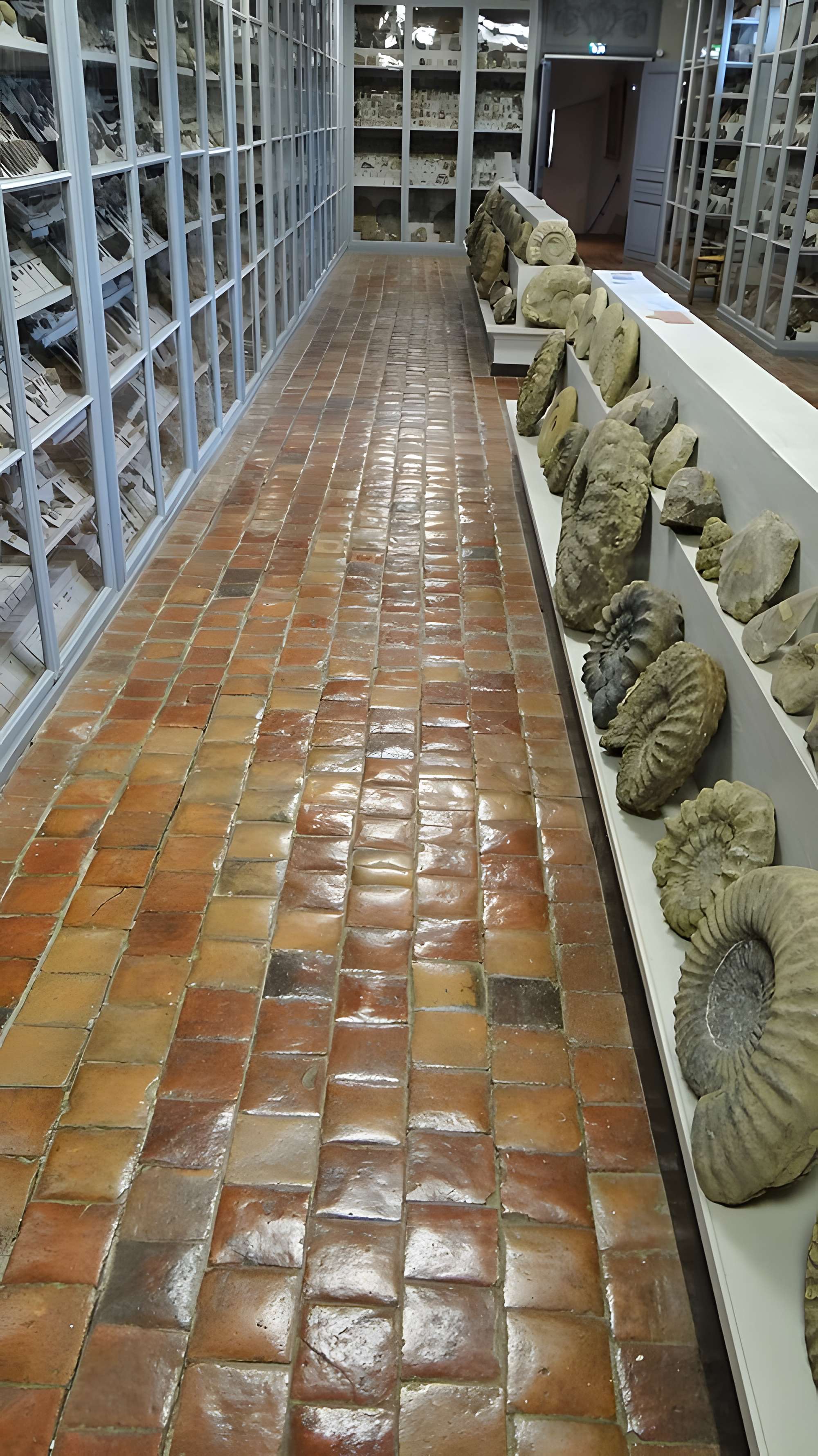 Musée municipal de Semur-en-Auxois 