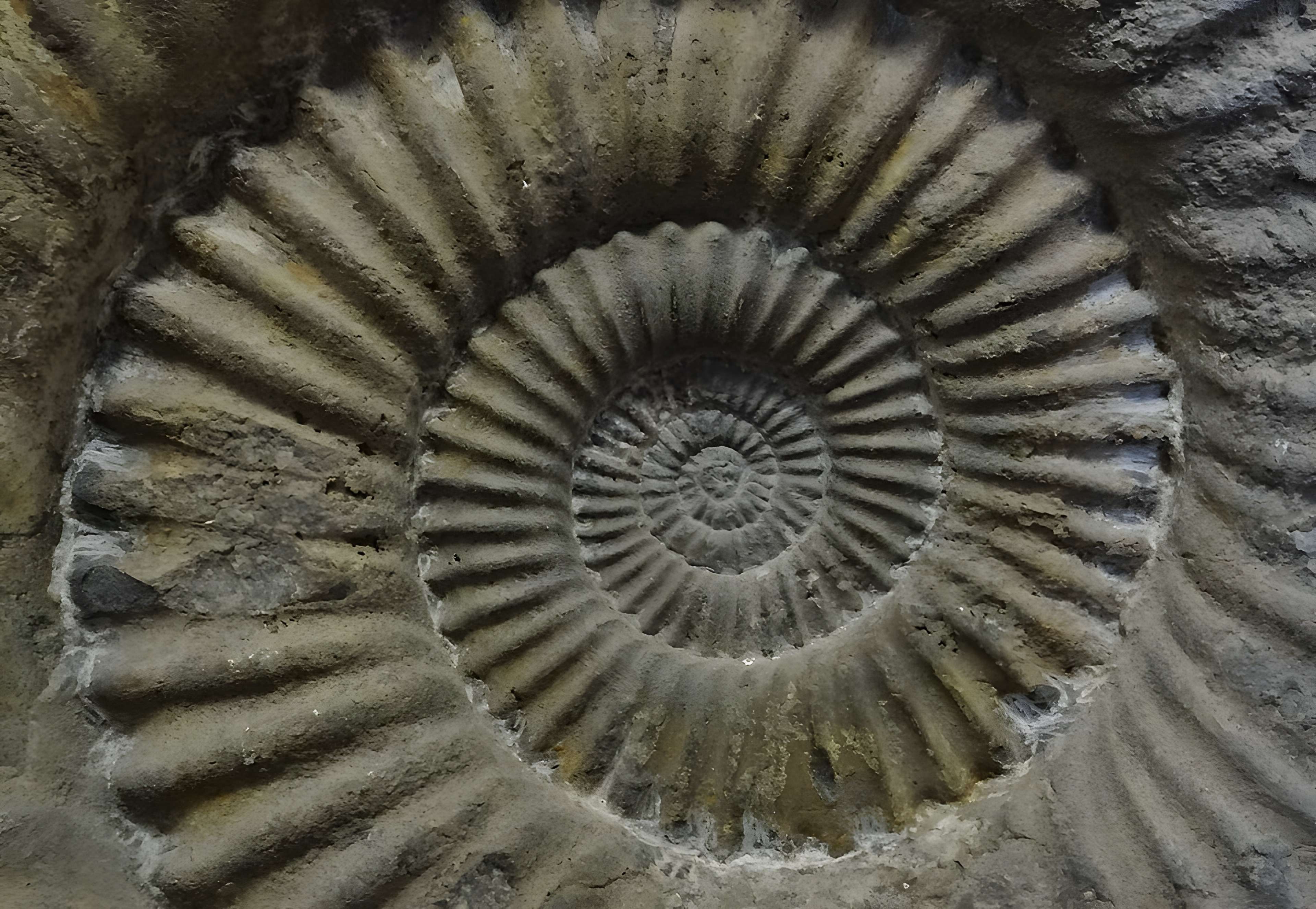 Musée municipal de Semur-en-Auxois 