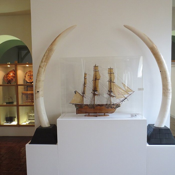 Photo de Musée du Septennat de François Mitterrand à Château-Chinon