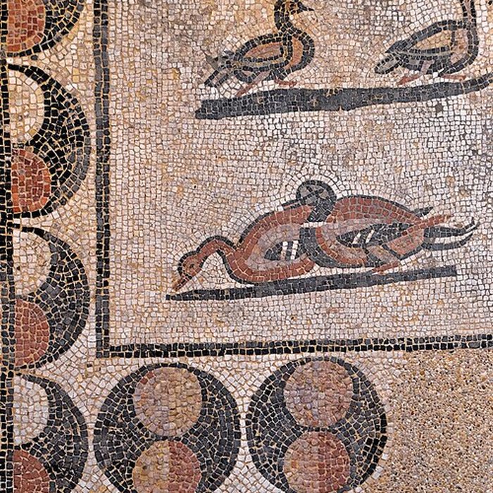 Photo de Le Panoptique dAutun, musée Rolin