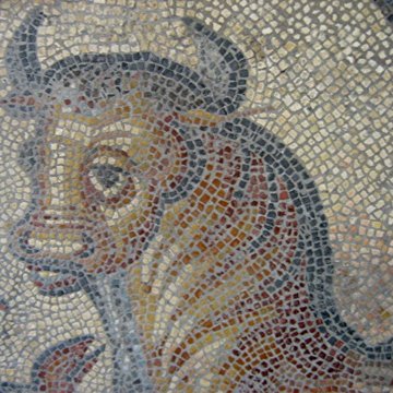 Le Panoptique dAutun, musée Rolin