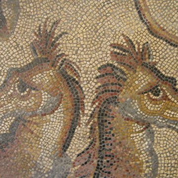 Le Panoptique dAutun, musée Rolin