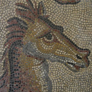 Le Panoptique dAutun, musée Rolin