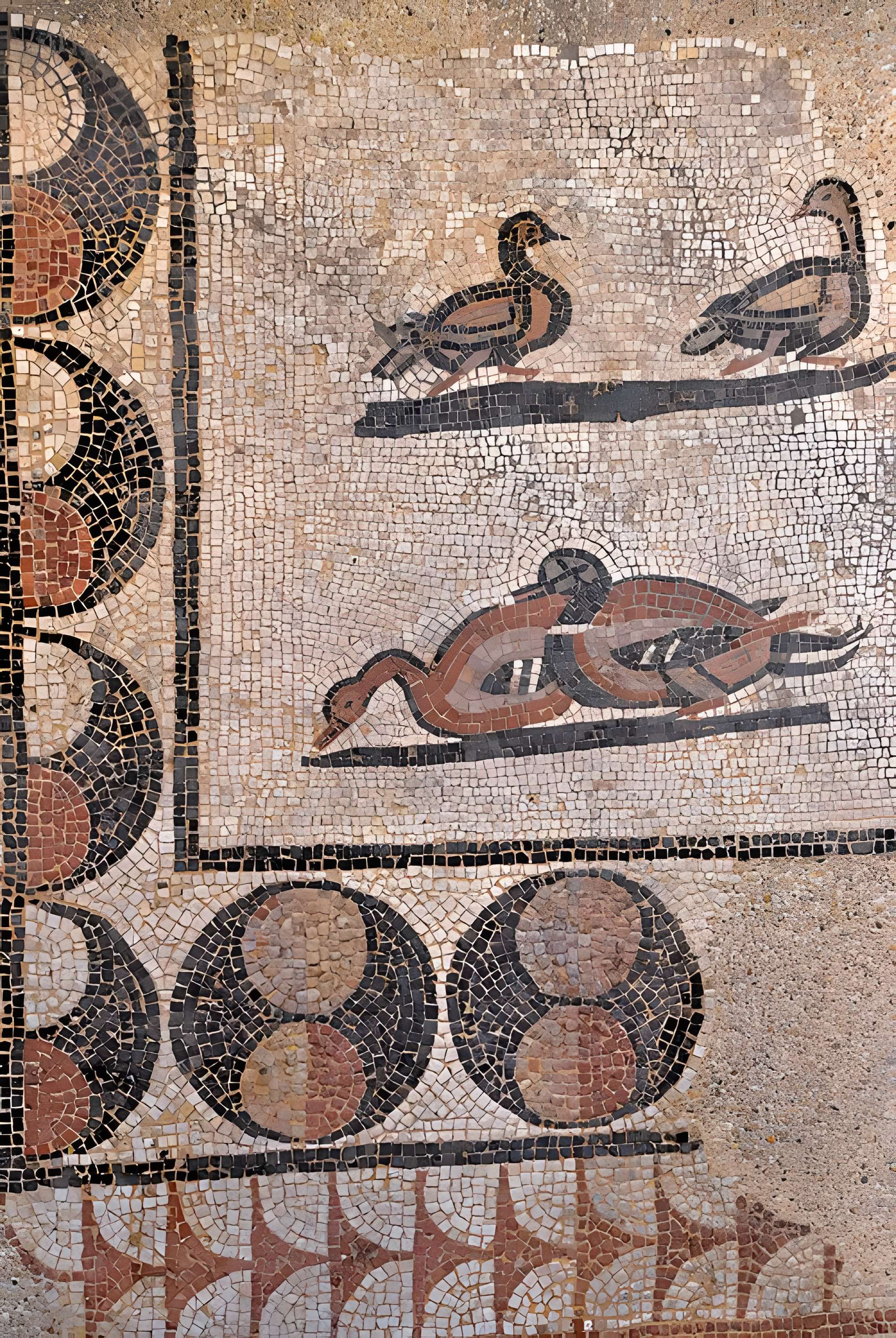 Le Panoptique d'Autun, musée Rolin