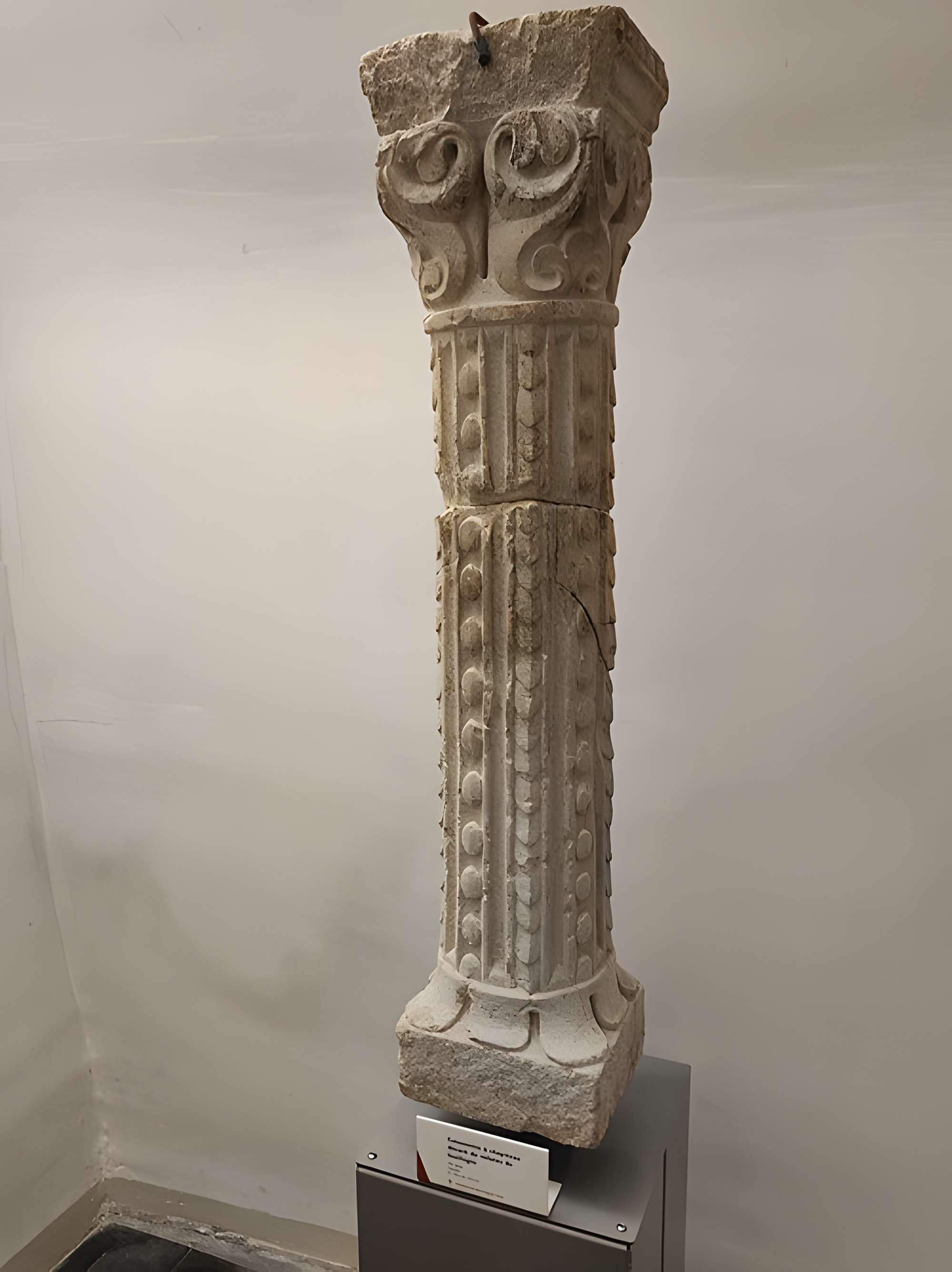 Musée d'art et d'archéologie de Cluny