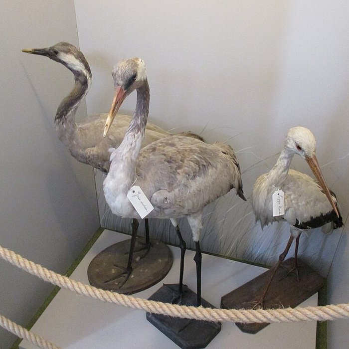 Photo de Ecomusée de la Bresse Bourguignonne à Pierre-de-Bresse