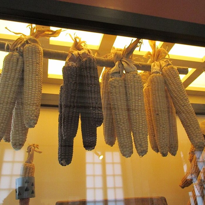 Photo de Ecomusée de la Bresse Bourguignonne à Pierre-de-Bresse