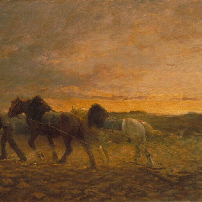 Photo de Musée des Ursulines de Mâcon