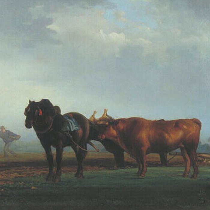 Photo de Musée des Ursulines de Mâcon