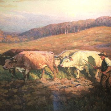 Musée des Ursulines de Mâcon