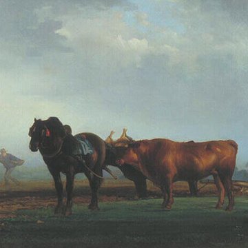 Musée des Ursulines de Mâcon