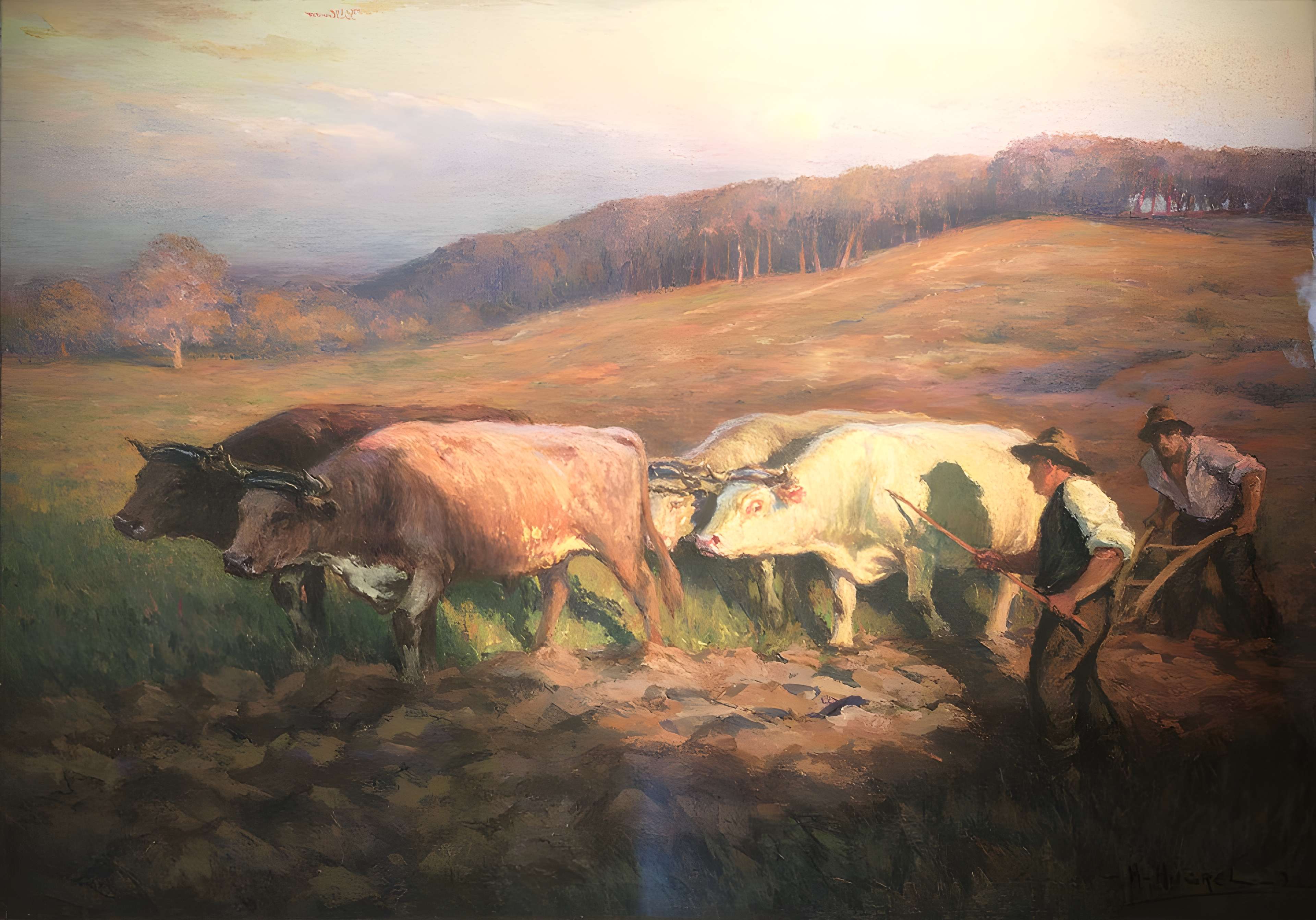 Musée des Ursulines de Mâcon