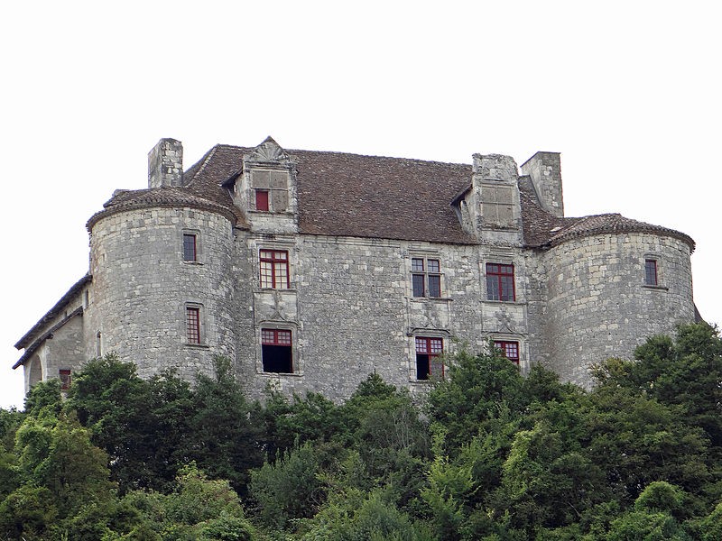 Photo de Château de Puycalvary