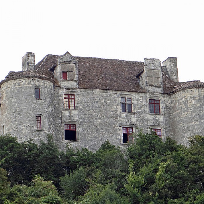 Photo de Château de Puycalvary
