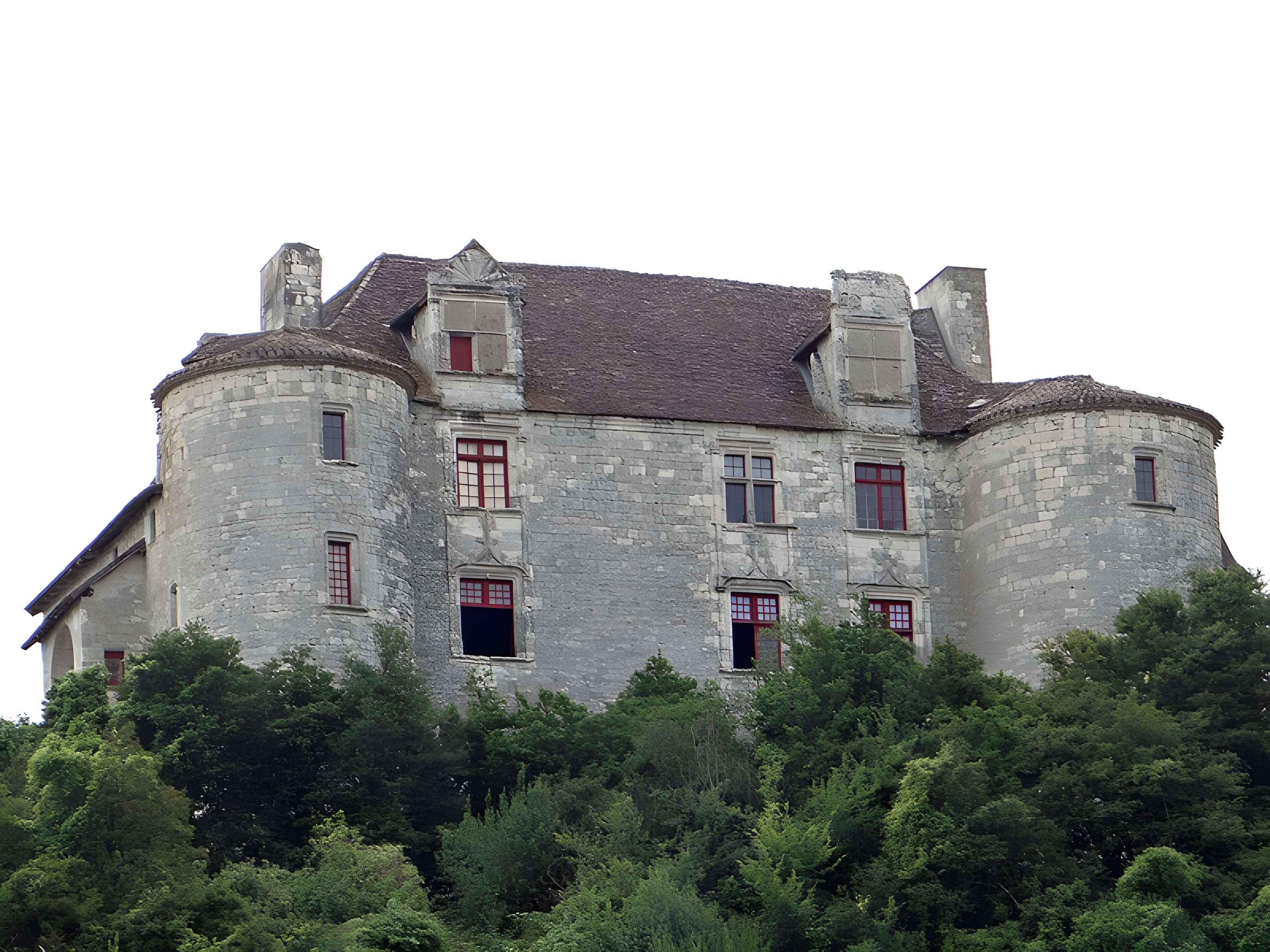 Château de Puycalvary 