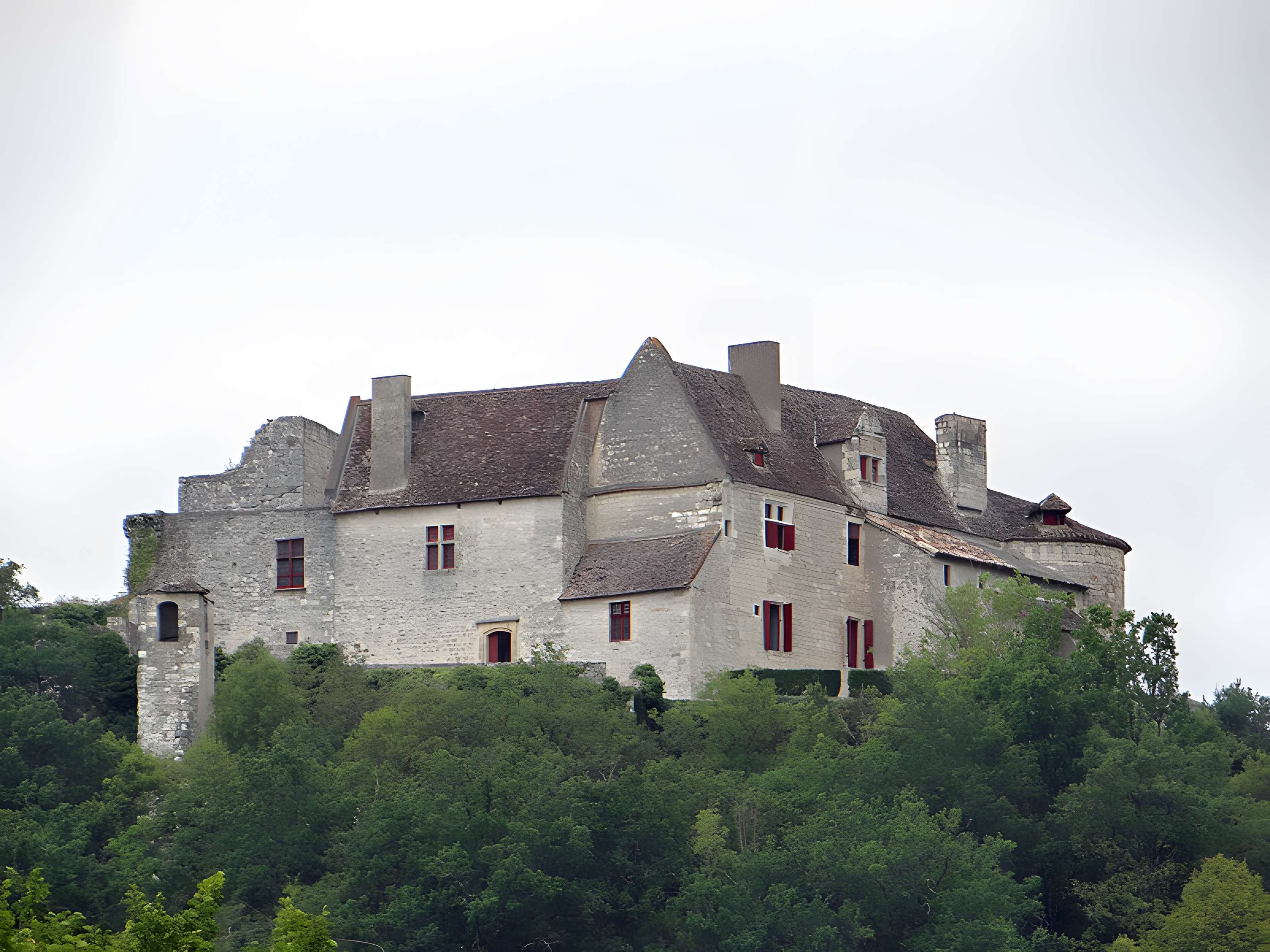 Château de Puycalvary
