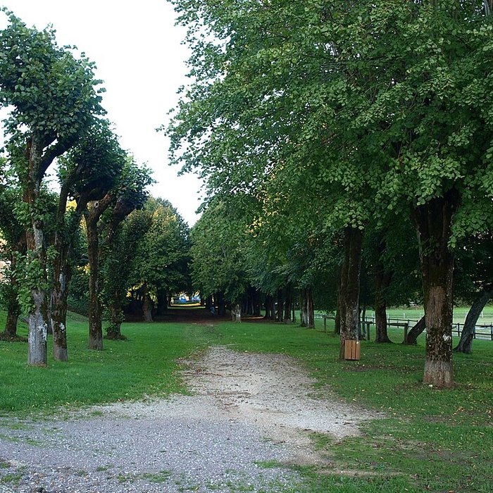 Photo de Musée Colette de Saint-Sauveur-en-Puisaye